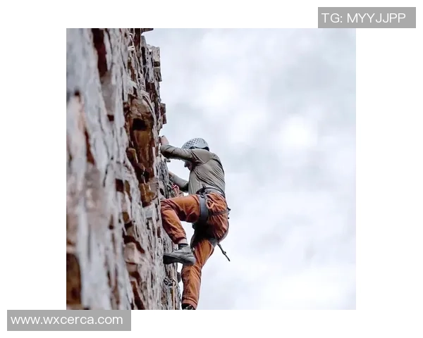 北京攀岩队实力对比深度解析与未来发展趋势探讨