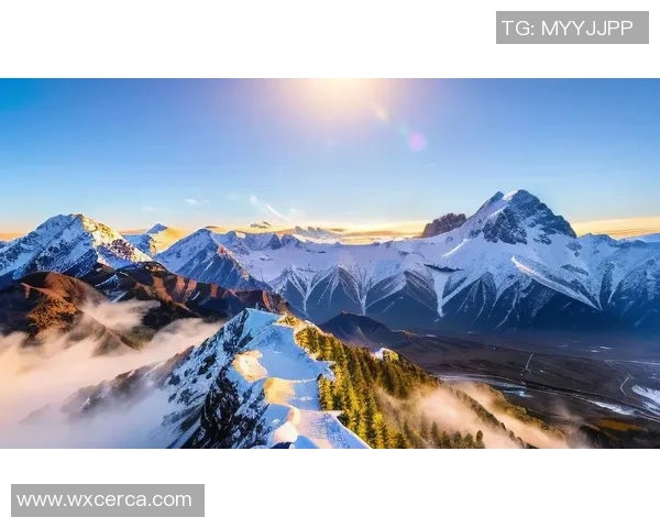 攀岩人生的深度对话：杨伟如何在高峰与挑战中找到自我